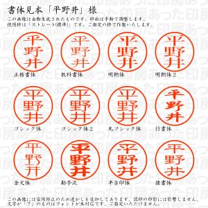 認印6 平野井(ひらのい) 様の詳細画像1