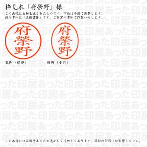 認印6 府榮野 様の詳細画像2