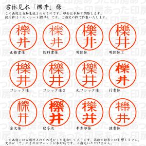 認印6 櫟井(いちい・とちい) 様の詳細画像1