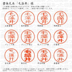 認印6 毛藻井(けもい) 様の詳細画像1