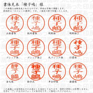 認印6 種子嶋 様の詳細画像1