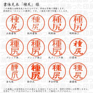 認印6 種尻 様の詳細画像1