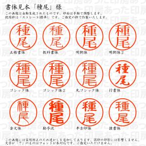 認印6 種尾 様の詳細画像1