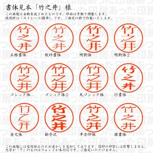 認印6 竹之井(たけのい) 様の詳細画像1