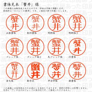 認印6 蟹井(かにい) 様の詳細画像1