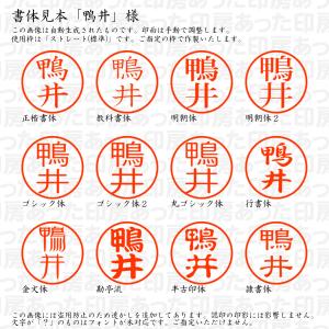 認印6 鴨井 様の詳細画像1