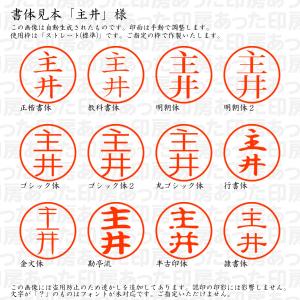認印 主井(ぬしい) 様の詳細画像1