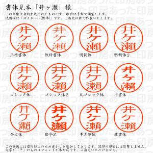 認印 井ヶ瀬 様(異体字:瀬(旧字))の詳細画像1