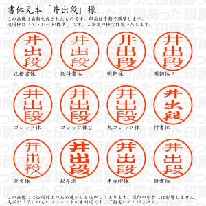 認印 井出段(いでだん) 様の詳細画像1