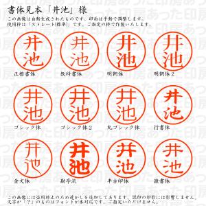 認印 井池(いいけ) 様の詳細画像1