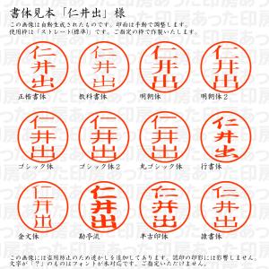 認印 仁井出(にいで) 様の詳細画像1