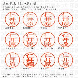 認印 仁井原(にいはら) 様の詳細画像1