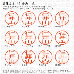 認印 仁井山(にいやま) 様の詳細画像1