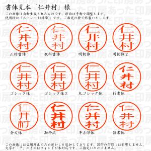 認印 仁井村(にいむら) 様の詳細画像1