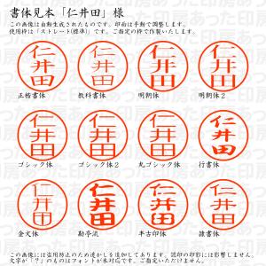 認印 仁井田(にいた・にいだ・にんいだ) 様の詳細画像1