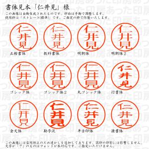 認印 仁井見(にいみ) 様の詳細画像1