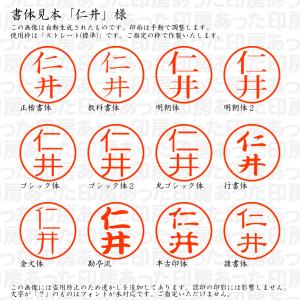 認印 仁井(じんい・じんだ・にい他) 様の詳細画像1