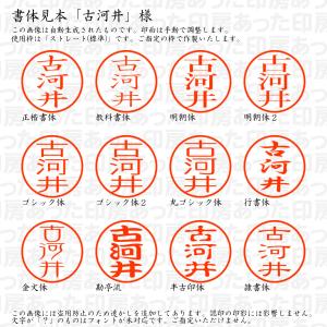 認印 古河井(こがい) 様の詳細画像1