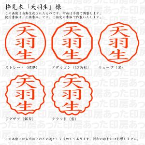 認印 天羽生(あまはぶ・あもう・あもお) 様の詳細画像2