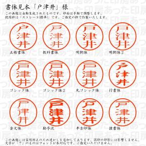 認印 戸津井(とつい) 様の詳細画像1