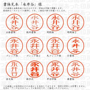 認印 永井谷(ながいたに) 様の詳細画像1