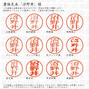 認印 沼野井(ぬまのい) 様の詳細画像1