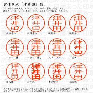認印 津井田(ついだ) 様の詳細画像1