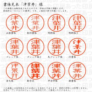 認印 津葉井(つばい) 様の詳細画像1
