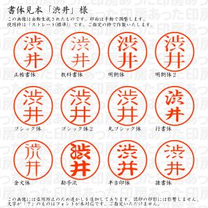 認印 渋井(しぶい) 様の詳細画像1
