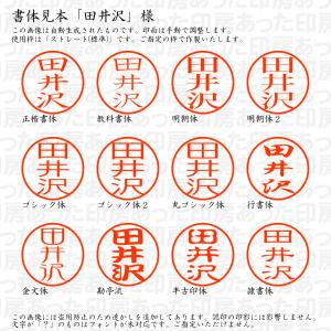 認印 田井沢(たいざわ) 様の詳細画像1