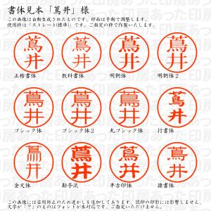 認印 蔦井(つたい) 様の詳細画像1