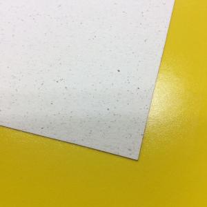 メニュー用紙(サンド紙) 縦大 共用中紙 MP...の詳細画像1