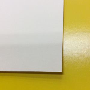 メニュー用紙(無地) 縦大 共用中紙 MP-TLの詳細画像1