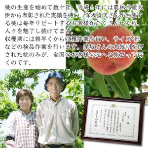 早期ご予約 山梨県産 一宮の桃 大玉 約2kg...の詳細画像2