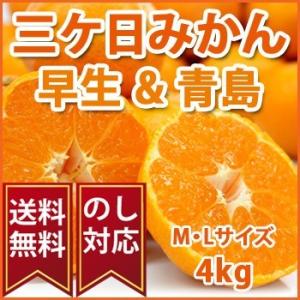 静岡県産みかん 「三ヶ日みかん 早生 青島」 ＭまたはＬサイズ4kg 光センサー選別品｜atta2-g