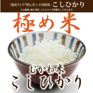 平成30年度  武川産コシヒカリ 5kg  山梨 峡北 武川米 特A品｜atta2-g