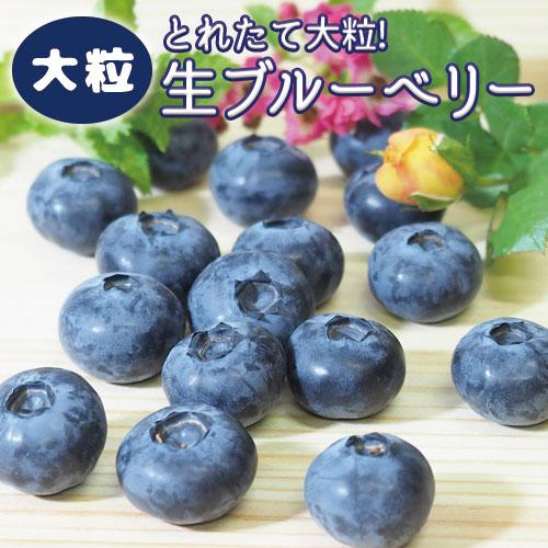 送料無料 限定販売 「 大粒 国産 高級 無添加 ブルーベリー 品種MIX 約480g （1箱4パッ...
