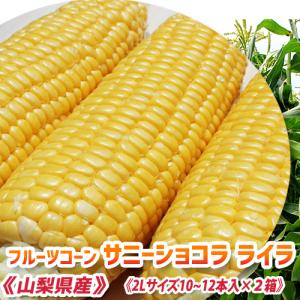 50本以上入り 「朝採りベビーコーン」 皮付き 山梨県産 ヤングコーン
