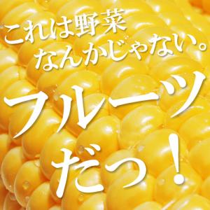 令和8年予約分 「朝採りとうもろこし」 フルー...の詳細画像2