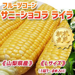 令和8年予約分 「朝採りとうもろこし」 フルー...の詳細画像1