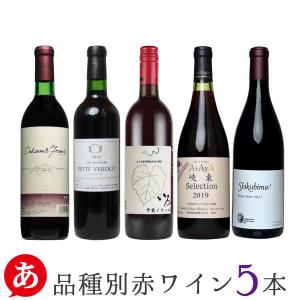 ワイン 赤ワインセット シャトー勝沼×ニッポンエール コラボ 日本の