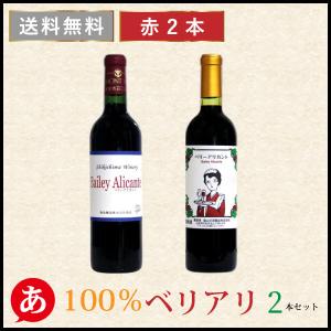 送料無料 （ギフト対応商品）「上質な日本の赤ワイン3本セット