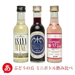 ミニボトルセット ミレックスジャパン 「ぶどうの丘 ミニボトル飲み比べ 3本セット 180ml×3本」 赤・白・ロゼ 試飲 山梨 国産 日本ワイン｜あったあった ワインショップ