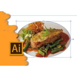 誰でもわかる Adobe Illustrato...の詳細画像4