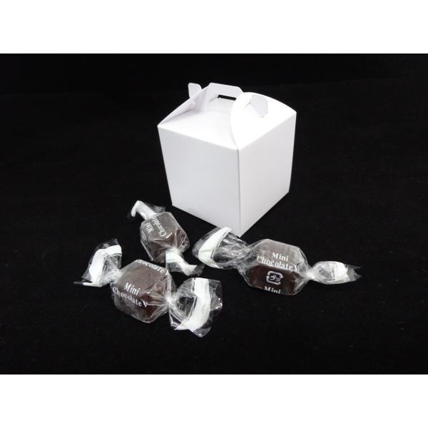 パッケージ箱 小型 マットホワイト 無地 555ボックス ハロウィン プレゼント ギフト