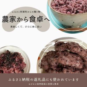 よもぎ茶 国産 100g 送料無料 新潟県阿賀...の詳細画像4