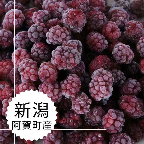 ブラックベリー 冷凍 新潟県阿賀町産 1.5ｋｇ