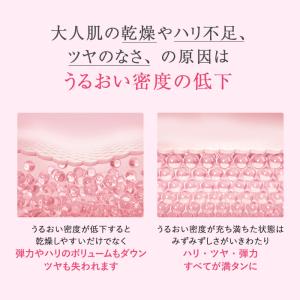 アテニア 公式 プライマーショット レフィル ...の詳細画像3