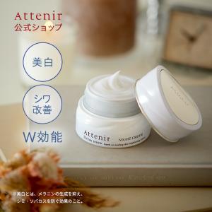 【旧】ドレススノー ナイトクリーム レフィル+専用容器セット 医薬部外品 アテニア 公式 クリーム Attenir 保湿クリーム フェイス シミ 保湿 顔｜attenir-p