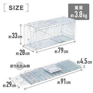 年間1位 捕獲器 猫 踏板式 動物 捕獲 アニ...の詳細画像3